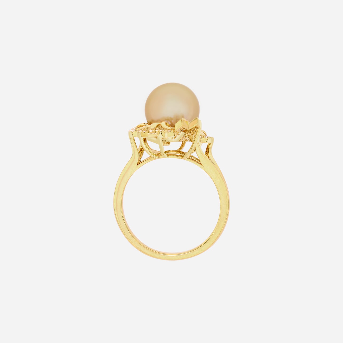 legacy south sea pearl ring in 18k yellow gold, featuring a 9–10mm golden pearl and intricate fan-inspired design.