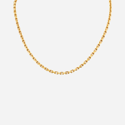 Anchor Chain in Yellow Gold (FANCHOR0400443A)